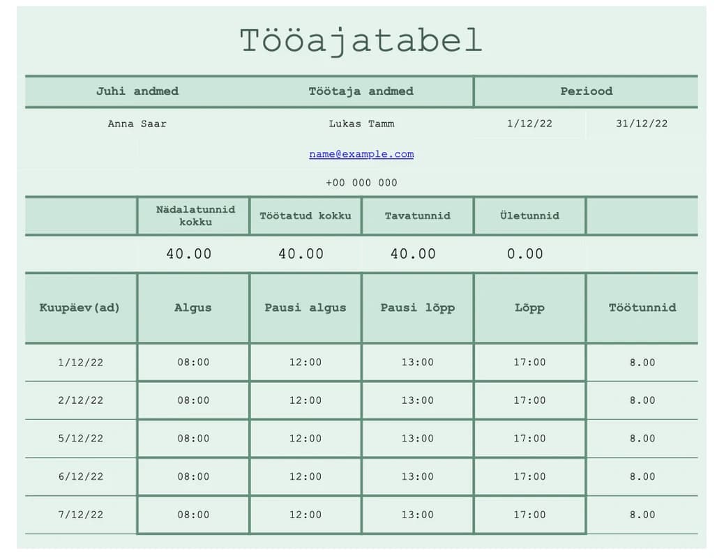 Projektitundide aruande Exceli malli eelvaade